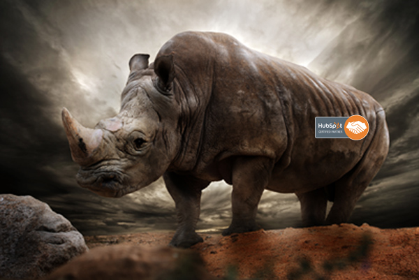 rhino_hubspot