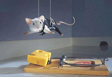 bettermousetrap