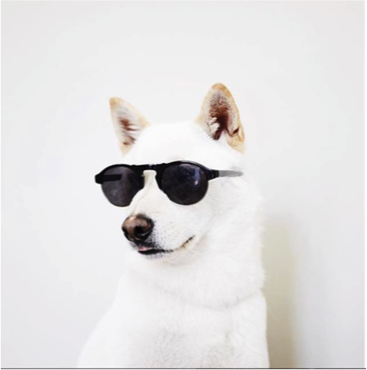 warby-barker-instagram.png