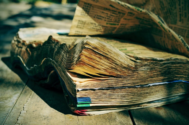 The yellow pages reign is OVER | Rhino Digital Media