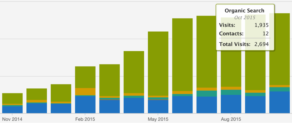 example-client-website-visits